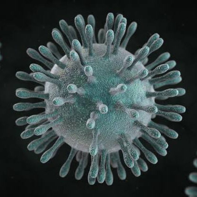 PH Coronavirus Updates 🇵🇭