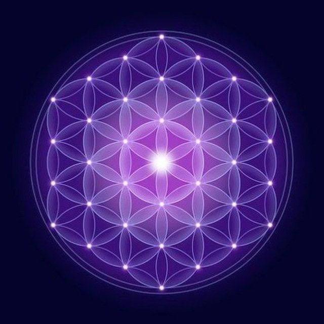 The Awakened Species ☀️