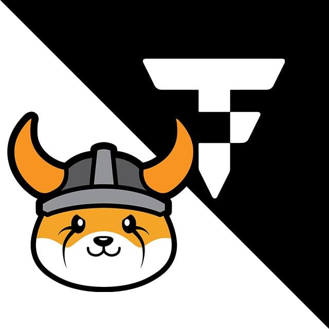 Floki & TokenFi Entry Portal