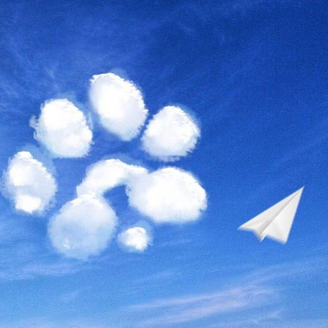 PAWS COMMUNITY NEWS