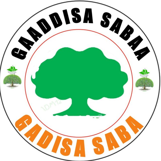 GAADDISA SABAA