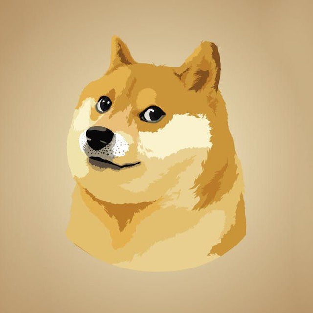 Dogecoin — Crypto | Tokens