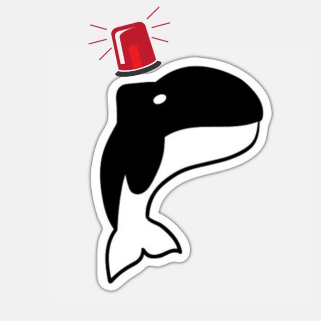 Whale Alert 🚨🚨🚨
