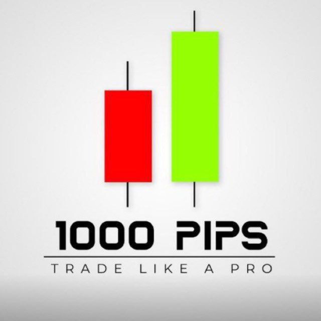1000PIP BUILDER (FOREX_MARKET))