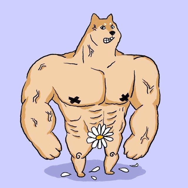Hachi the Dog Channel