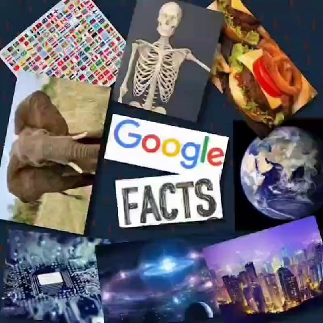@googlefactss ™ [@googlefactss🌍]